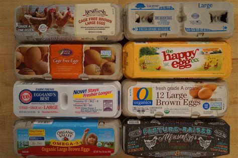 Egg Company.